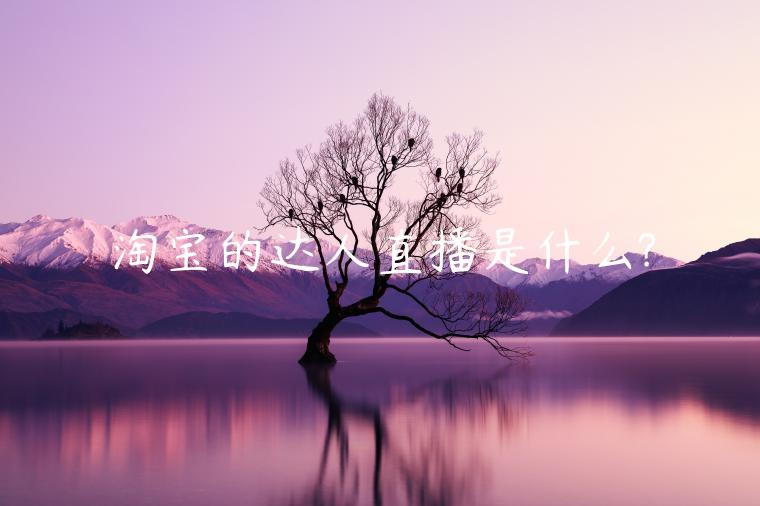 淘寶的達(dá)人直播是什么?